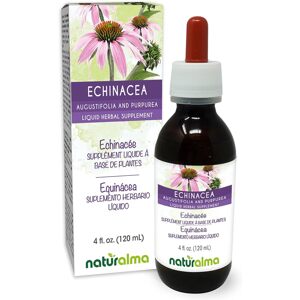 Naturalma Echinacea alkoholmentes tinktúra, 100 ml